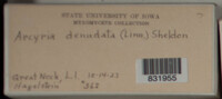 Image Associated With the Occurence